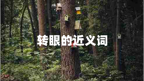 轉(zhuǎn)眼的近義詞