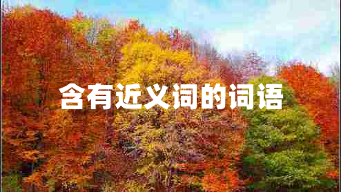 含有近義詞的詞語