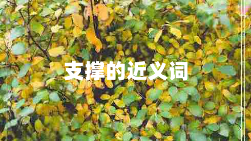 支撐的近義詞