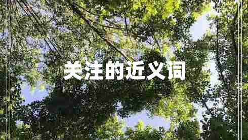 關(guān)注的近義詞