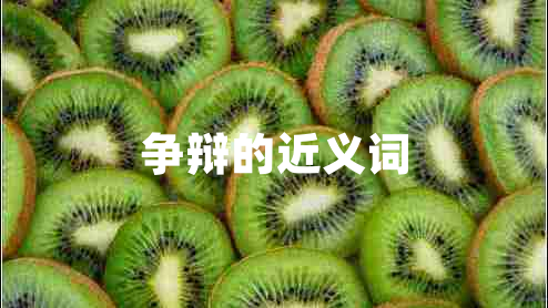 爭(zhēng)辯的近義詞