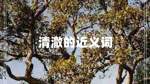 清澈的近義詞