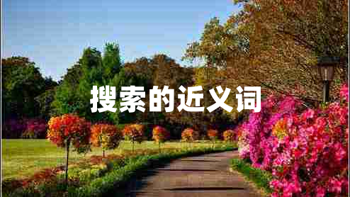 搜索的近義詞