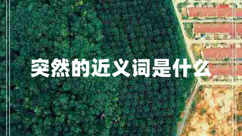 突然的近義詞是什么