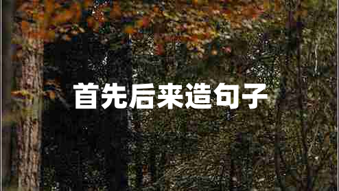 首先后來造句子