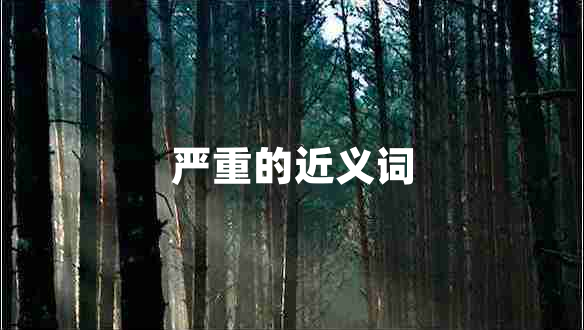 嚴(yán)重的近義詞