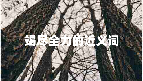 竭盡全力的近義詞