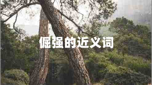 倔強(qiáng)的近義詞