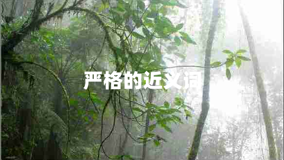 嚴(yán)格的近義詞