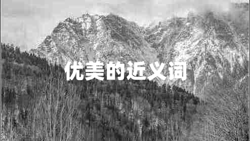 優(yōu)美的近義詞