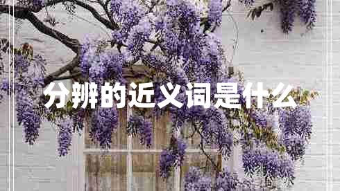 分辨的近義詞是什么