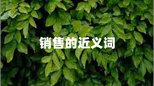 銷(xiāo)售的近義詞