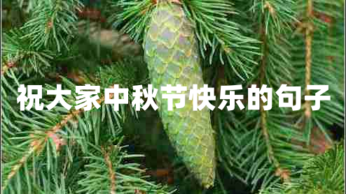 祝大家中秋節(jié)快樂的句子