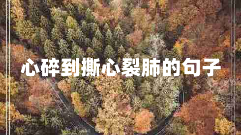 心碎到撕心裂肺的句子