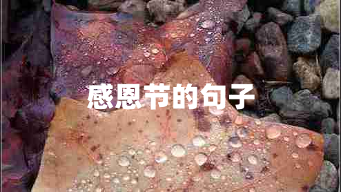 感恩節(jié)的句子