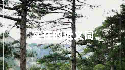 實(shí)在的近義詞