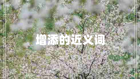 增添的近義詞