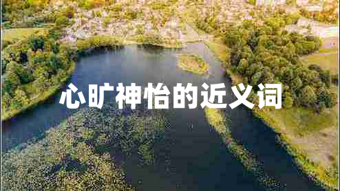 心曠神怡的近義詞