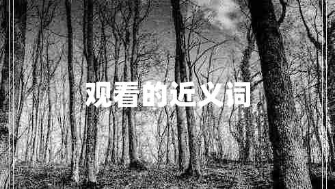 觀看的近義詞