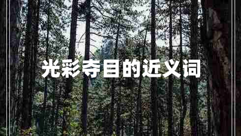 光彩奪目的近義詞