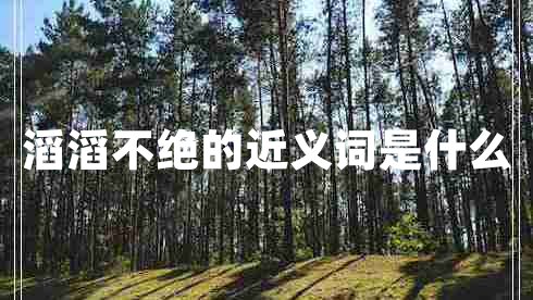 滔滔不絕的近義詞是什么