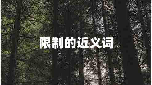 限制的近義詞