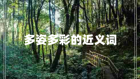 多姿多彩的近義詞
