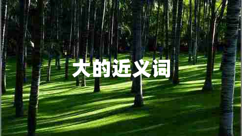 大的近義詞