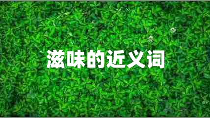滋味的近義詞