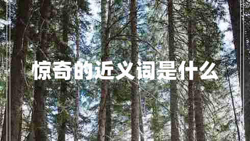 驚奇的近義詞是什么