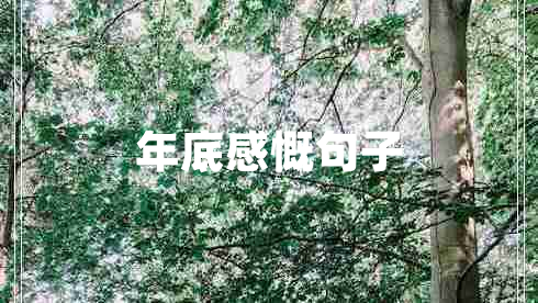 年底感慨句子 年底感慨句子