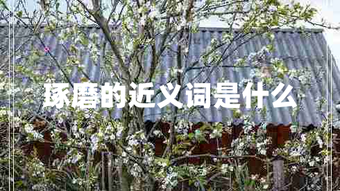 琢磨的近義詞是什么