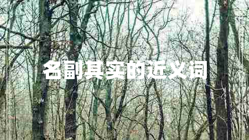 名副其實(shí)的近義詞