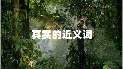 其實的近義詞