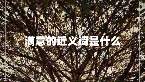 滿意的近義詞是什么