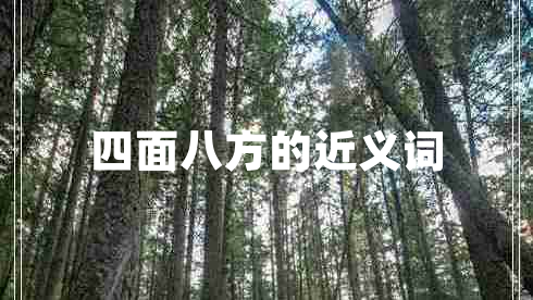 四面八方的近義詞