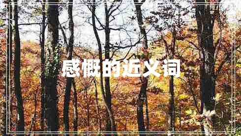 感慨的近義詞