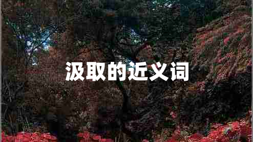 汲取的近義詞