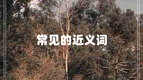 常見的近義詞