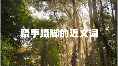 躡手躡腳的近義詞