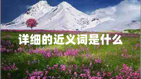 詳細的近義詞是什么