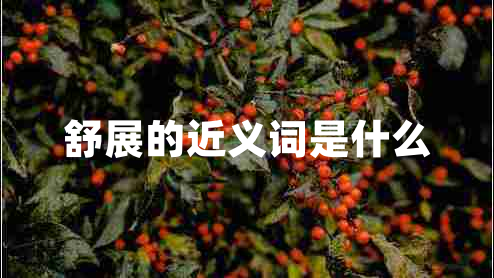 舒展的近義詞是什么