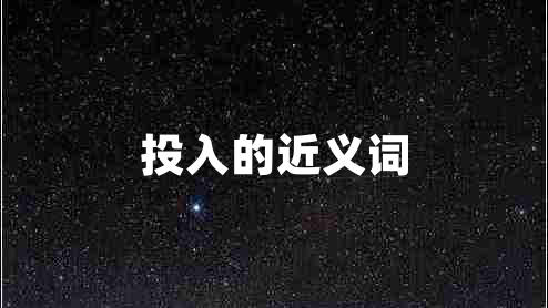 投入的近義詞