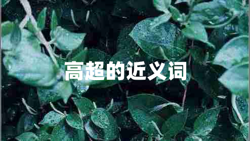 高超的近義詞