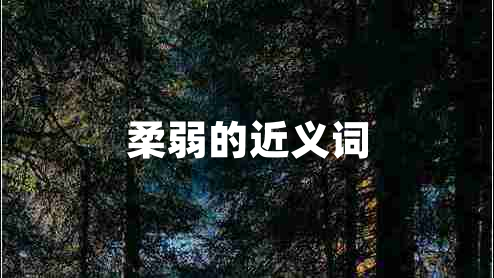 柔弱的近義詞