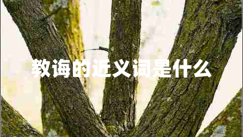 教誨的近義詞是什么