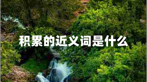 積累的近義詞是什么