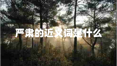 嚴(yán)肅的近義詞是什么