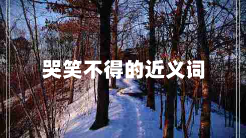 哭笑不得的近義詞