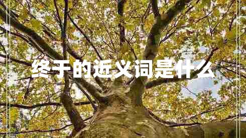 終于的近義詞是什么